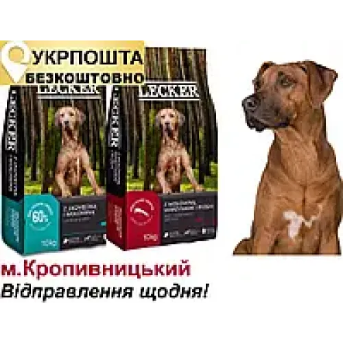 Корм для собак м'ясне асорті клуб 4 лапи Lecker 20 кг ягня телятина 10кг та 10кг яловичина рис, сухий собачий преміум корм